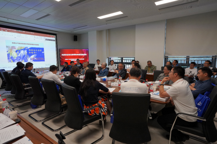 专家组成员进行点评